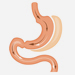 Lap Sleeve Gastrectomy Surgery