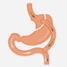 Gastric Bypass